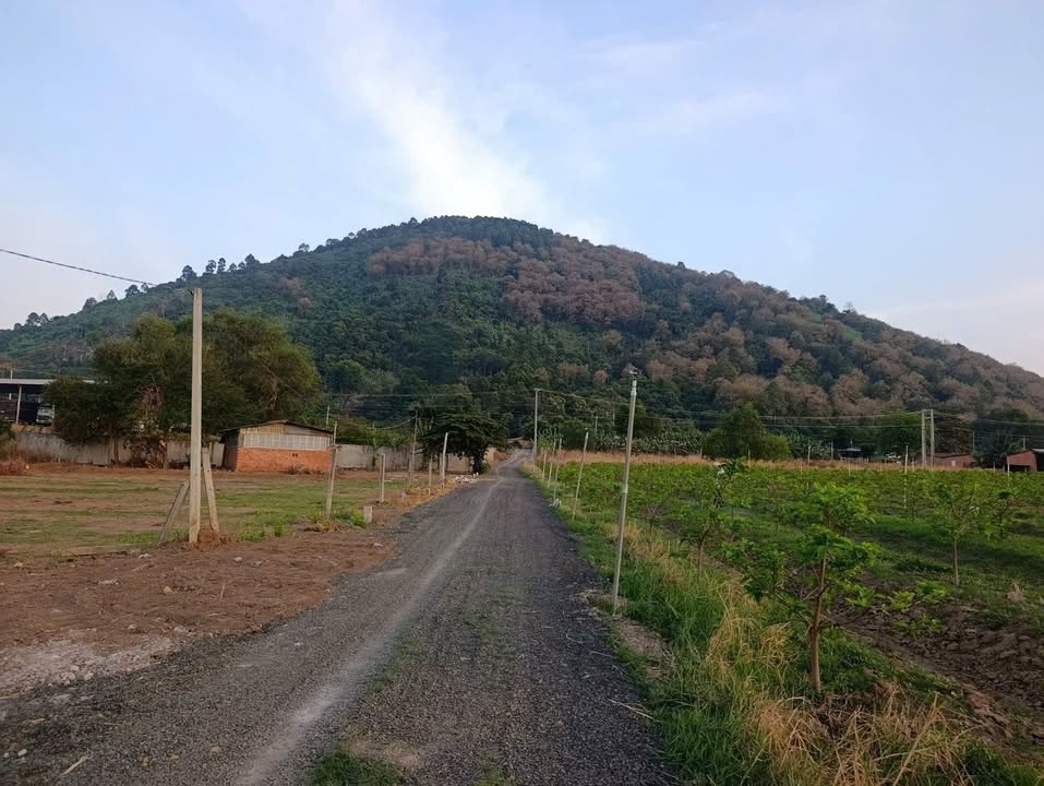 Đất nền Tây Ninh 150m² chỉ 339 triệu - Pháp lý rõ ràng!