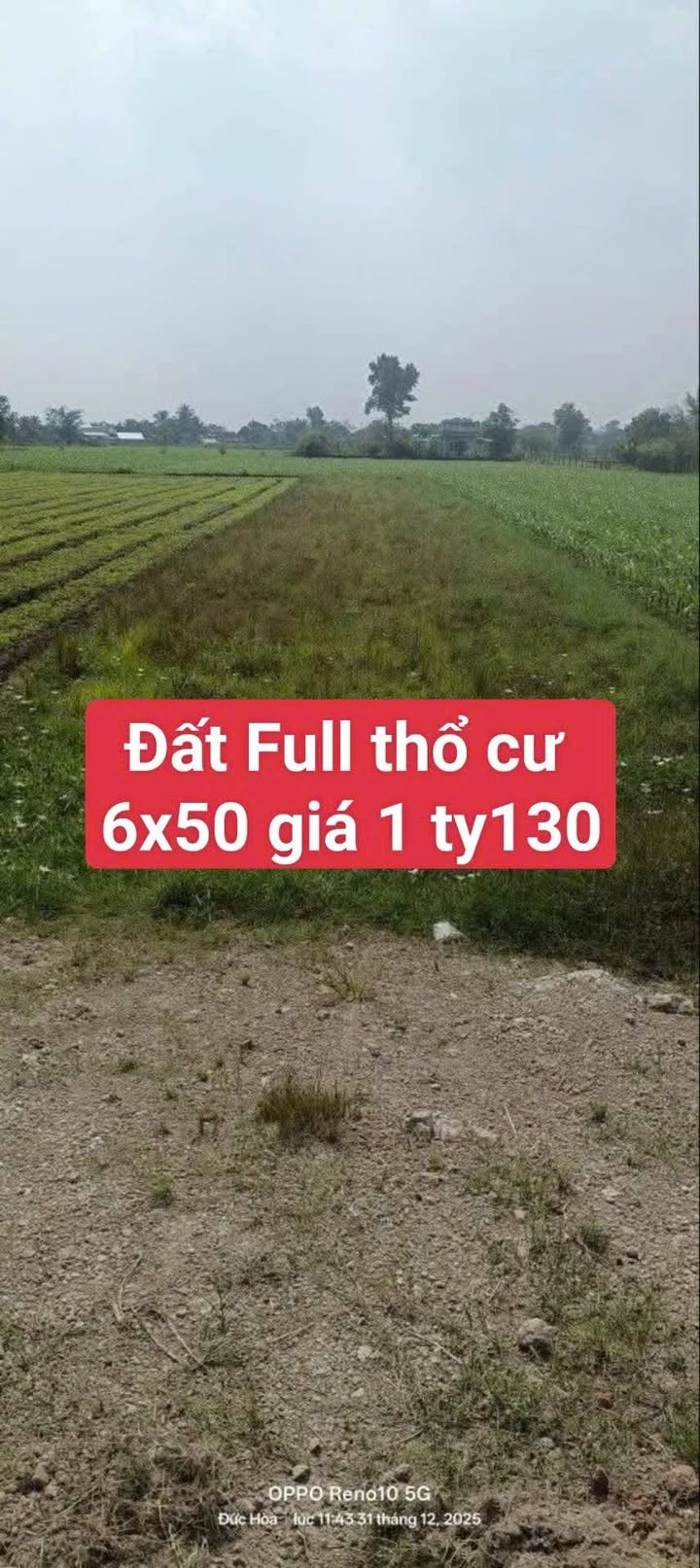 Đất nền Đức Hòa Thượng Long An 300m² - Sổ đỏ chính chủ