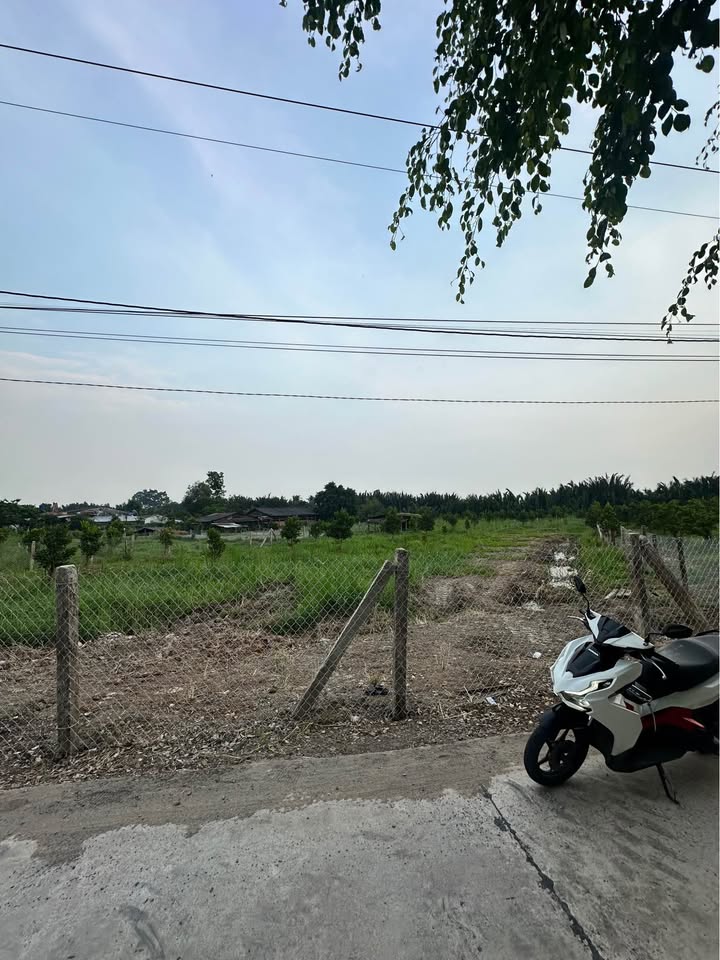 Bán Đất Vườn 1200m² Tỉnh Long An - Giá 1.008 Tỷ, Sẵn Sàng Xây Nhà Vườn