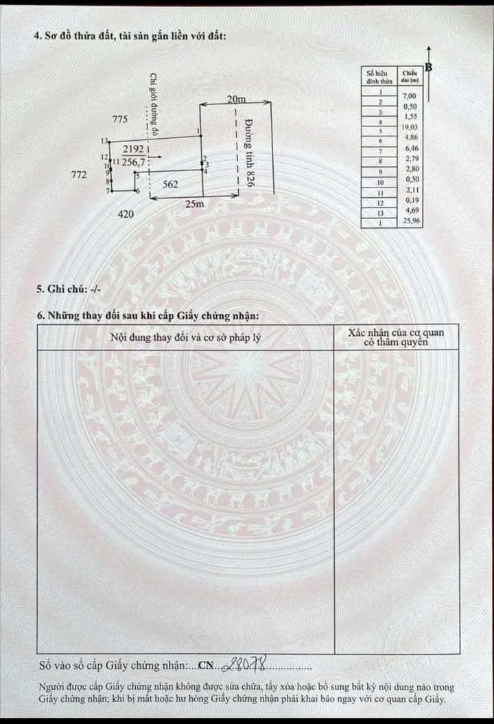 Nhà Phố Long An 257m² - Mặt tiền kinh doanh, gần Ngã tư Xoài Đôi!