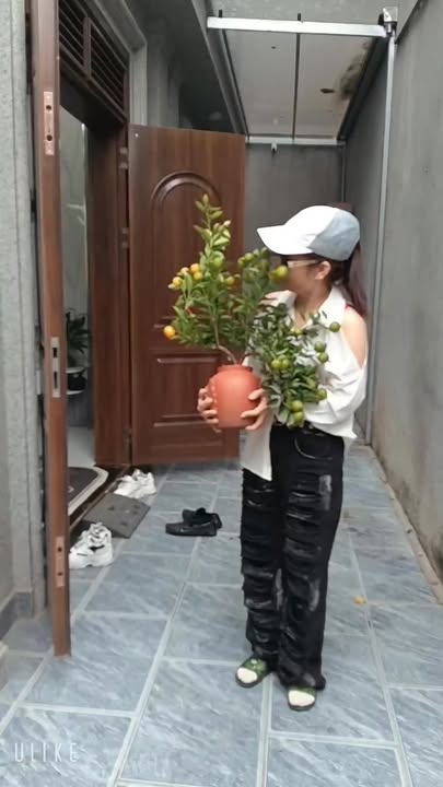 Nhà Riêng Phúc Lợi Long Biên 35m² - Full Nội Thất, Thang Máy!