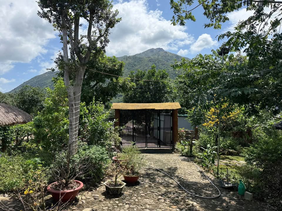 Cho thuê Biệt thự Vườn Phước Đồng, Nha Trang 2000m² - Không gian xanh, yên tĩnh