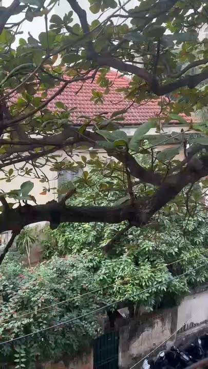 Nhà Tập thể Nguyễn Chế Nghĩa 57m² 4.85 tỷ - Ô tô vào tận nhà!