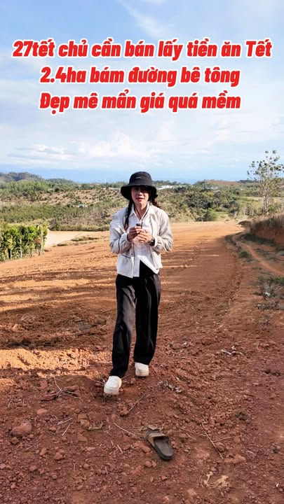 Đất Vườn Đắk Nông 24.000m² - Giá Tốt Đầu Tư, Sổ Hồng Sẵn Sàng