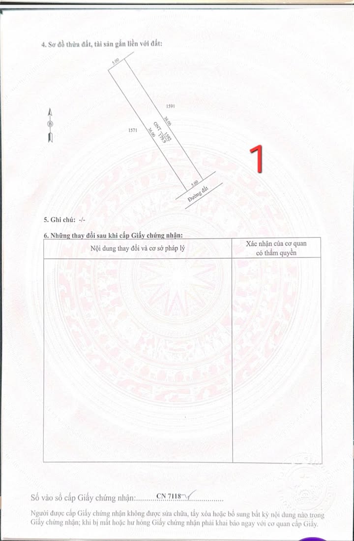 Bán 2 Lô Đất Mặt Tiền Đường Đá Thông, Bến Cầu, Tây Ninh - 180m² Full Thổ Cư