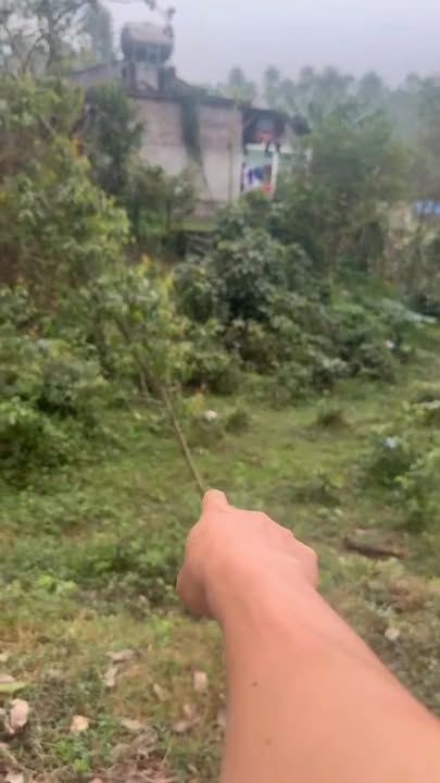 Bán đất vườn Lập Thạch Vĩnh Phúc 4000m² giá 370 triệu - Sổ hồng sẵn!