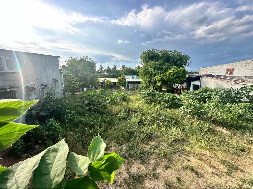 Đất Vườn Đô Vinh 334m² - Xây Tường Bao, Tách Lô Thoải Mái