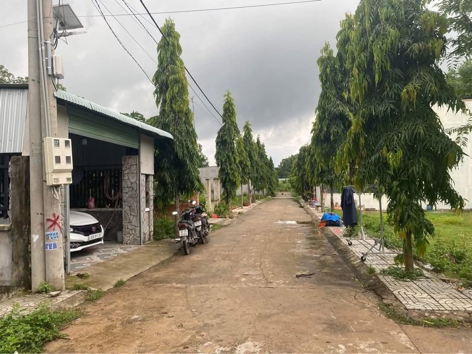 Đất Vàng 620m² An Viễn, Trảng Bom - Giá 750 Triệu, Sổ Đỏ Chính Chủ