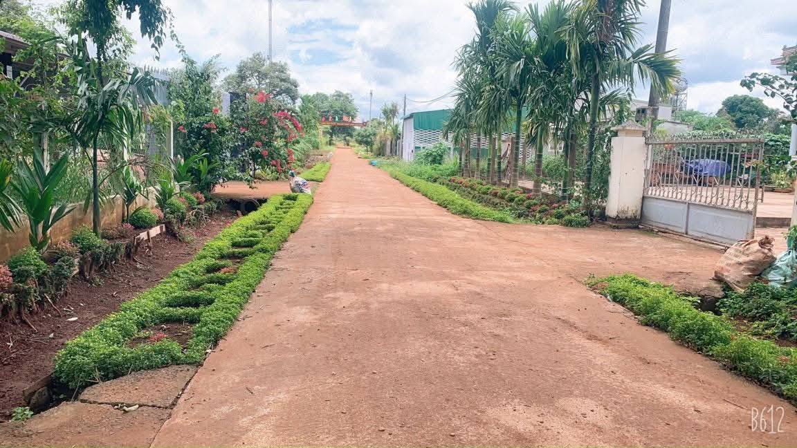 Đất nền Bình Hoà, Bắc Bình 200m² - Tiềm năng tăng giá vượt trội!