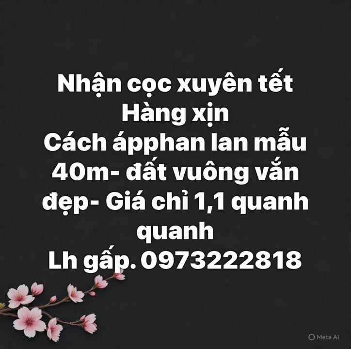 Đất nền Lan Mẫu, Lục Nam 40m² giá 1.1 tỷ - Tiềm năng tăng giá!