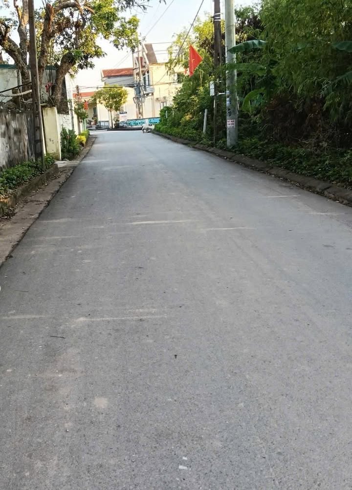 Đất Nền 115m² Gần KCN Khánh Thiện, Ninh Bình - Giá Tốt Đầu Tư