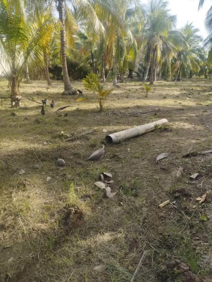 Đất nền Định Thủy Chợ Lách 9000m² - Sổ đỏ chính chủ, 5.85 tỷ VND