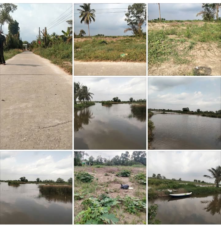 Đất Vườn 30.000m² Cà Mau - Sổ Hồng Rõ Ràng, Giá Đầu Tư 3 Tỷ