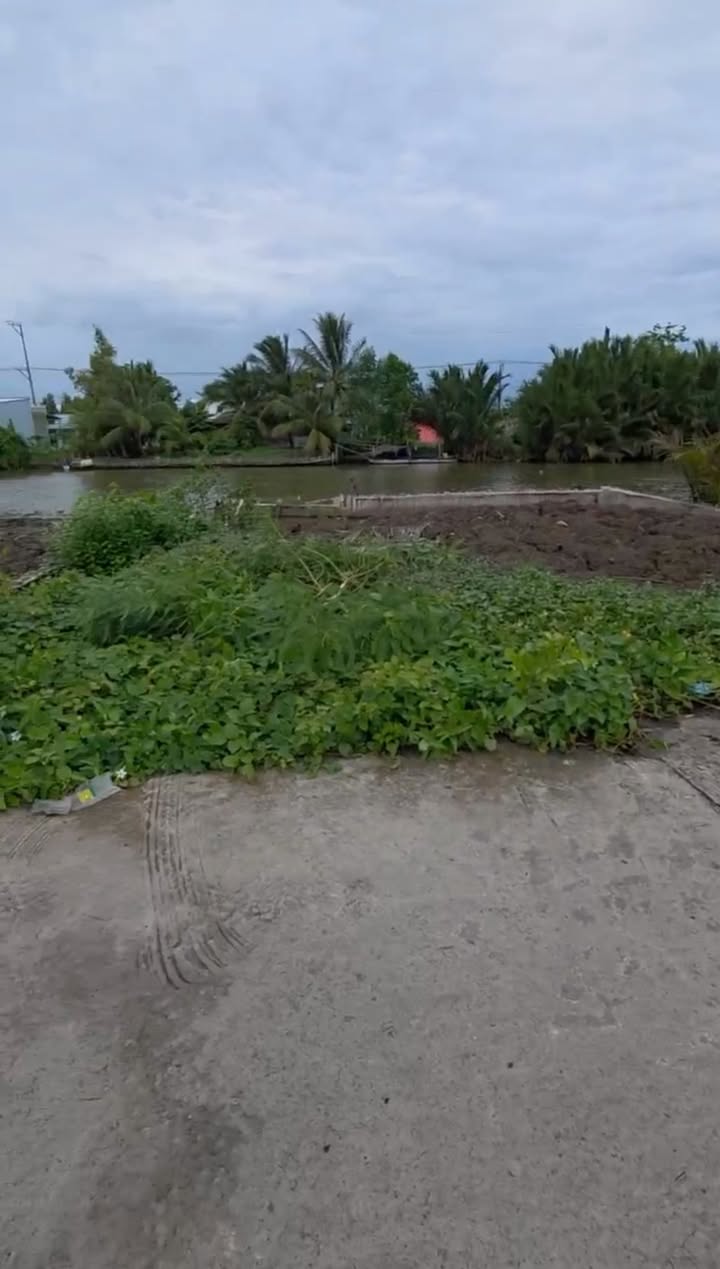 Đất nền Ninh Quới A, Bạc Liêu 72m² - Sổ đỏ chính chủ!