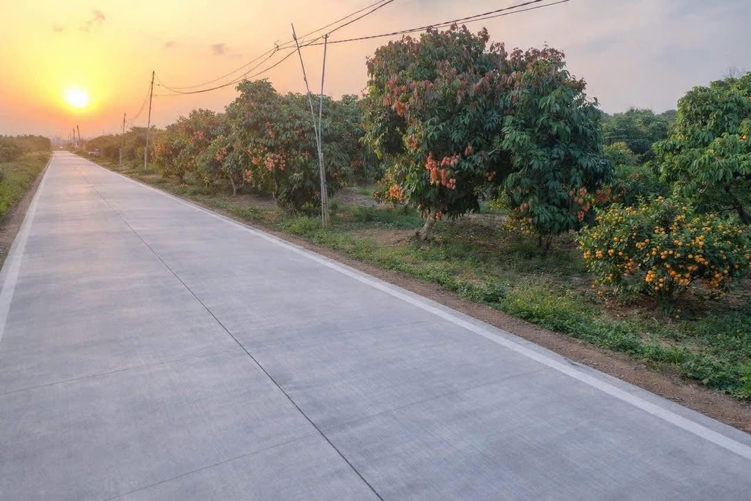 Đất vườn Thanh Sơn Kiến Thuỵ 650m² - Pháp lý rõ ràng