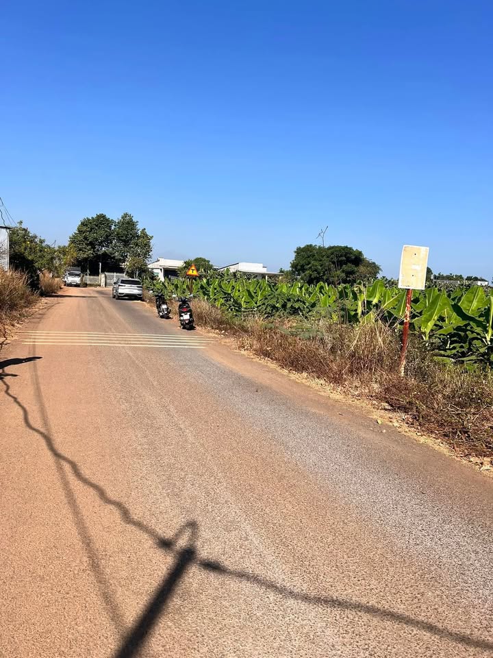 Bán Đất Mặt Tiền Suối Đá - Kim Thượng, Đồng Nai - 432m² Sổ Hồng Riêng