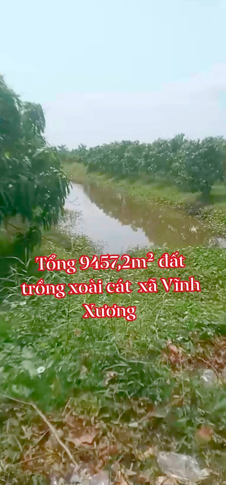 Đất vườn Tân Châu An Giang 9457m² giá 2.8 tỷ - Nghỉ dưỡng lý tưởng!