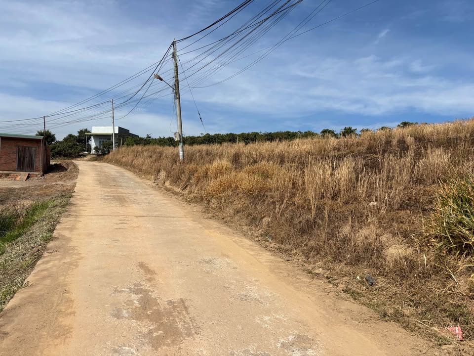 Đất nền Tân Hà Đức Trọng 230m² giá 980 triệu - Sổ đỏ chính chủ!