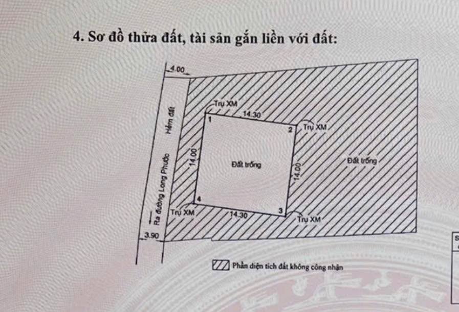 Đất nền Long Phước, Thủ Đức 1000m² – Xây dựng tự do!