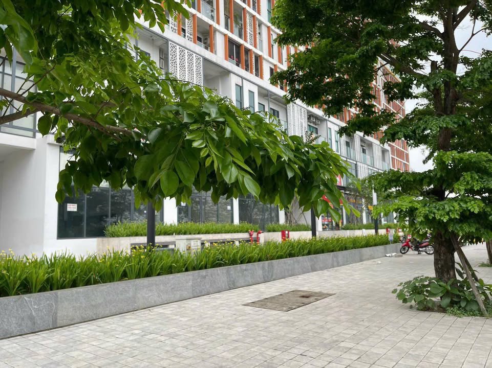 Shophouse 110m² Lê Quang Đạo, Hà Đông - Kinh doanh đắc lợi