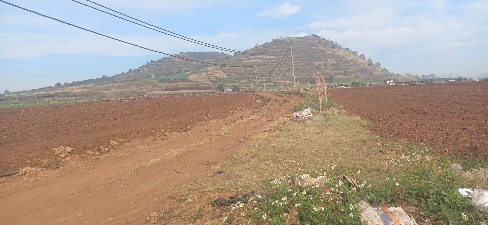 Đất vườn Phú Hội, Đức Trọng 6ha - View thiên nhiên hùng vĩ!