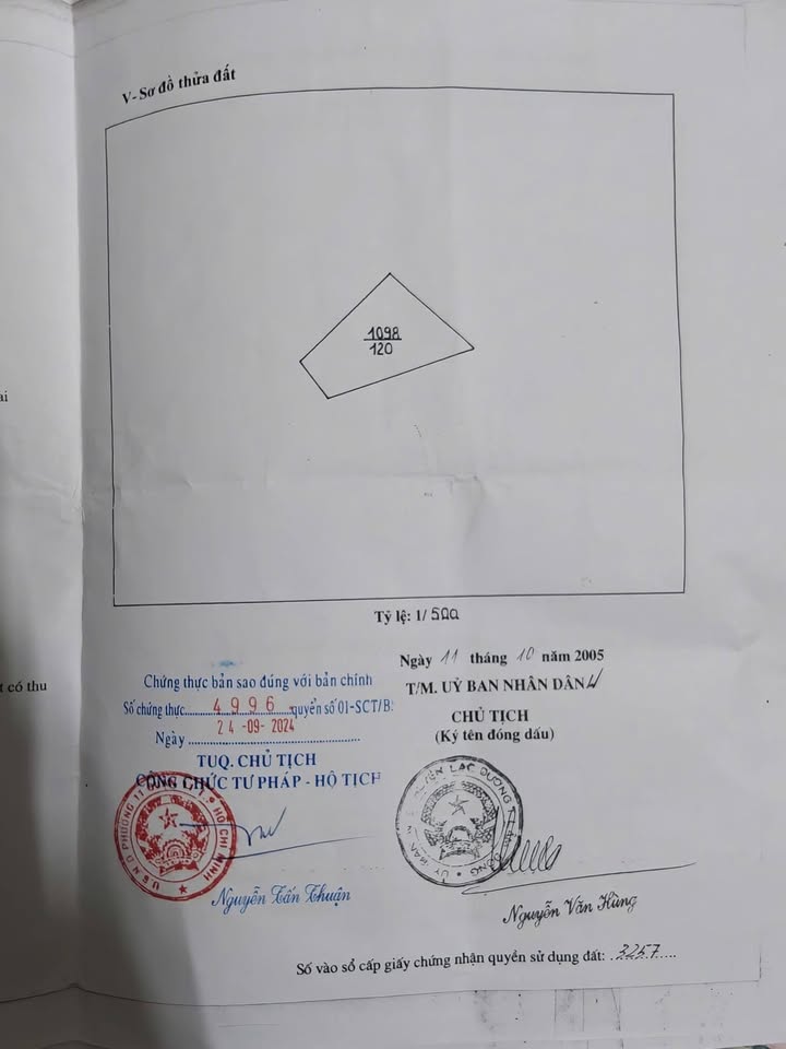 Đất Vàng Lạc Dương 233m² Mặt Tiền Đường Nhựa - Kinh Doanh Đắc Lợi