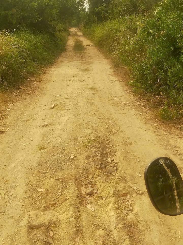 Bán Gấp Đất Vườn 12.746m² Phường Long Phước, TP Thủ Đức - Sổ Hồng