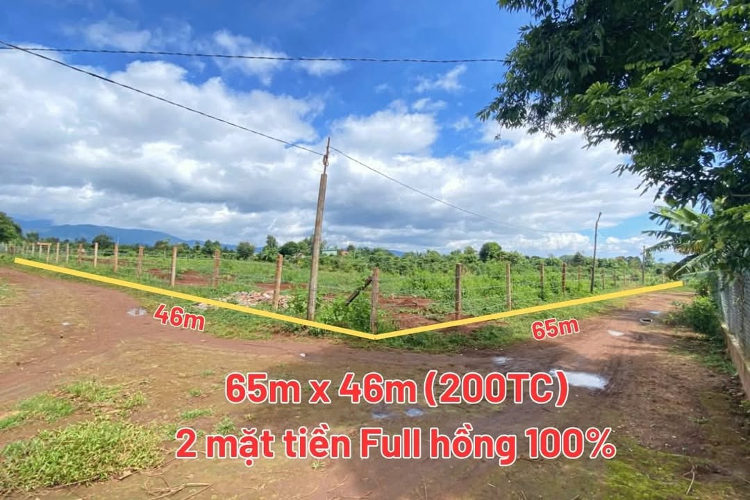 Đất vườn Chư Păh Gia Lai 2990m² giá 980 triệu - Sổ đỏ chính chủ!