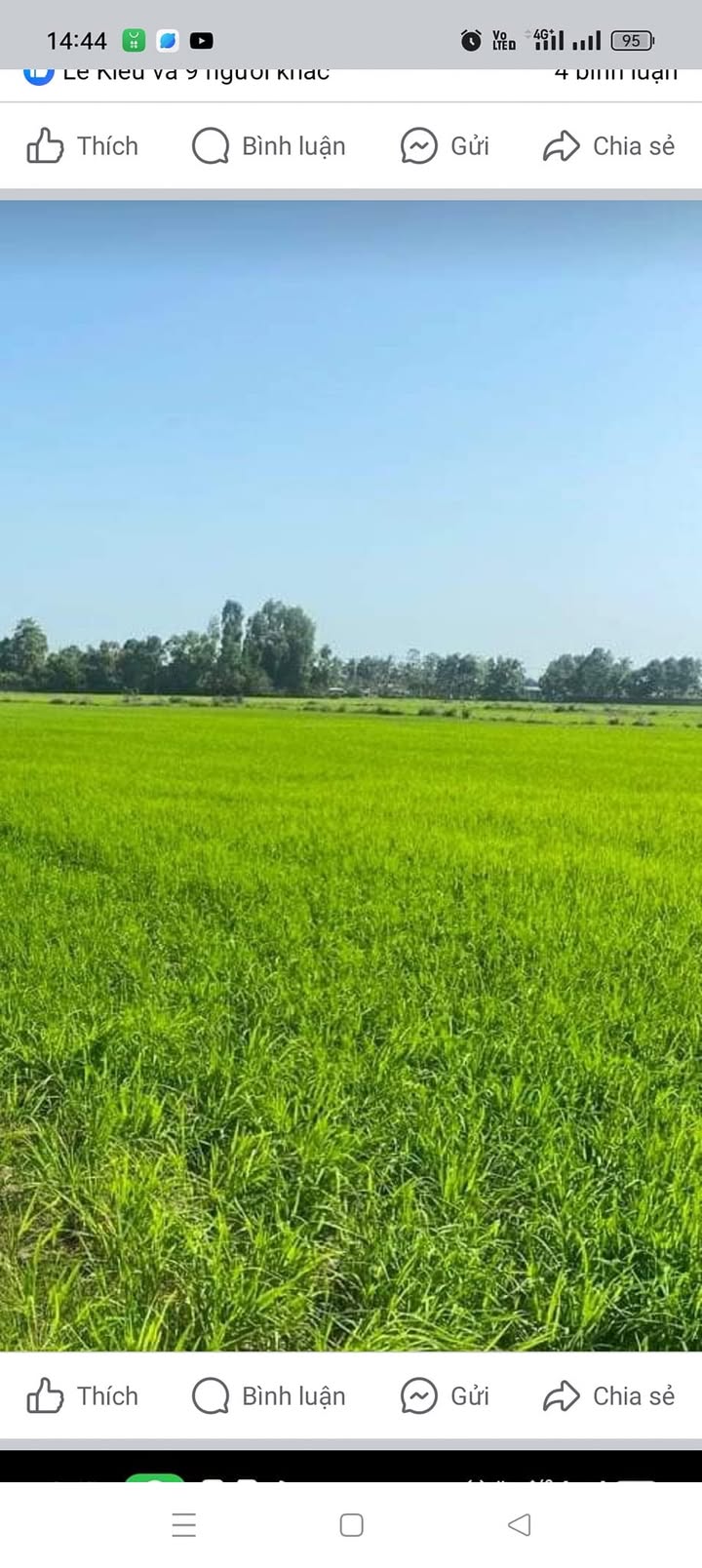 Đất Ruộng 100.000m² Vĩnh Phú Đông, Bạc Liêu - Tiềm Năng Tăng Giá Vượt Trội!