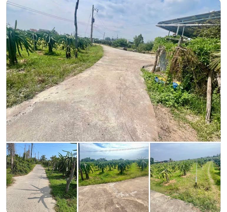 Bán Đất Vườn Hàm Hiệp 1700m² Hơn 800 Triệu - Lô Góc 2 Mặt Tiền Đẹp