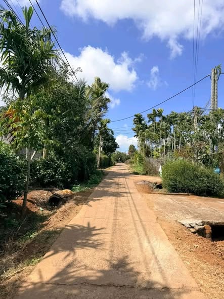 Đất Hẻm Nguyên Hồng Buôn Hồ 235m² - Sổ Đỏ Rõ Ràng - Giá 1.25 Tỷ