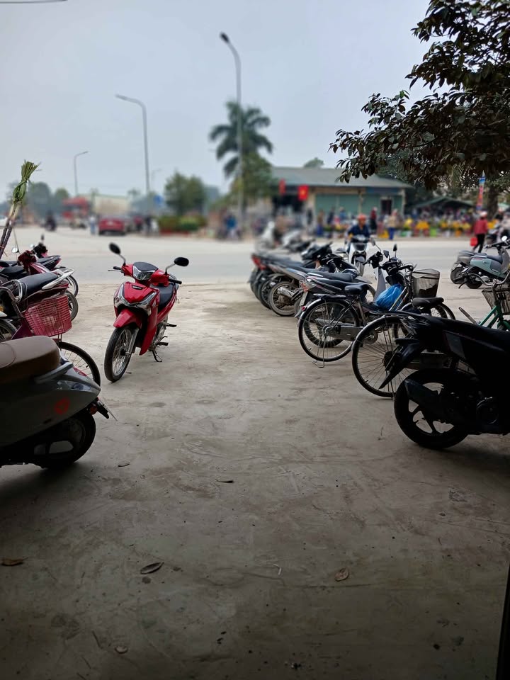 Nhà Mặt Tiền 5m P. Quảng Thịnh, TP. Thanh Hóa - Sẵn Sàng Kinh Doanh & Ở