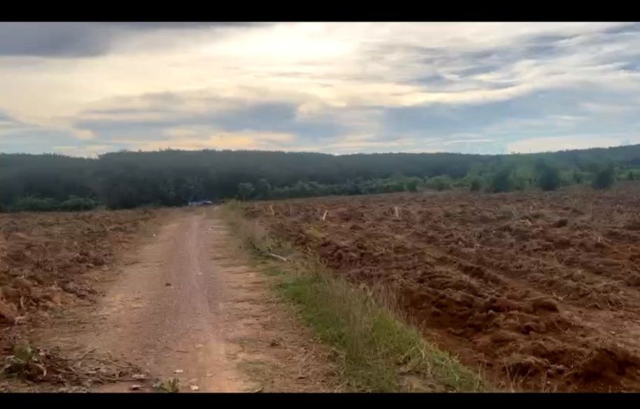 Bán Đất Vườn Bù Đăng Bình Phước 21ha 19 Tỷ - Đầu Tư Dài Hạn