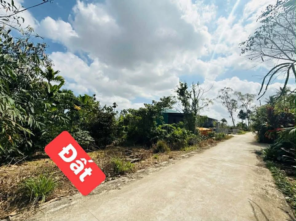 Đất nền Hương Xuân Hương Trà 150m² giá 500 triệu - Sổ hồng sẵn!