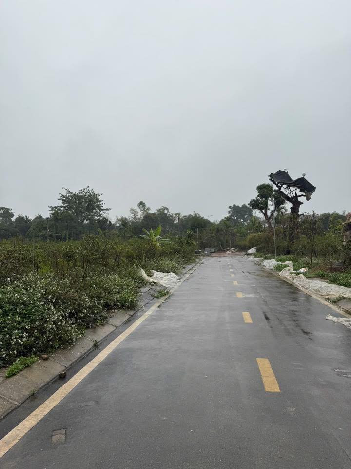 Bán Đất Phường Thịnh Đức, Thái Nguyên 176.5m² - Sổ Đỏ Chính Chủ, Hướng Đông Vượng Khí