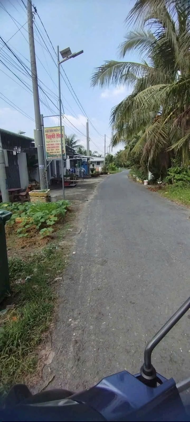 Đất Vĩnh Long 503m² Mặt Tiền Đường Nhựa - Gần Cty Hòa Phú, Giá Tốt