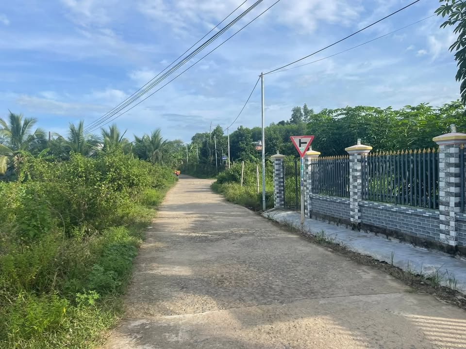 Đất Vườn Diên Khánh 565m² - Sổ Đỏ Cây Lâu Năm, Giá Chỉ 390 Triệu