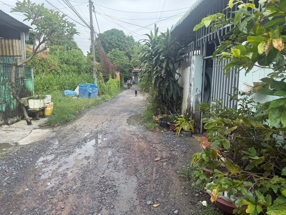 Nhà Trọ Củ Chi 90m² giá 2.25 tỷ - Sổ hồng sẵn, thu nhập tốt!