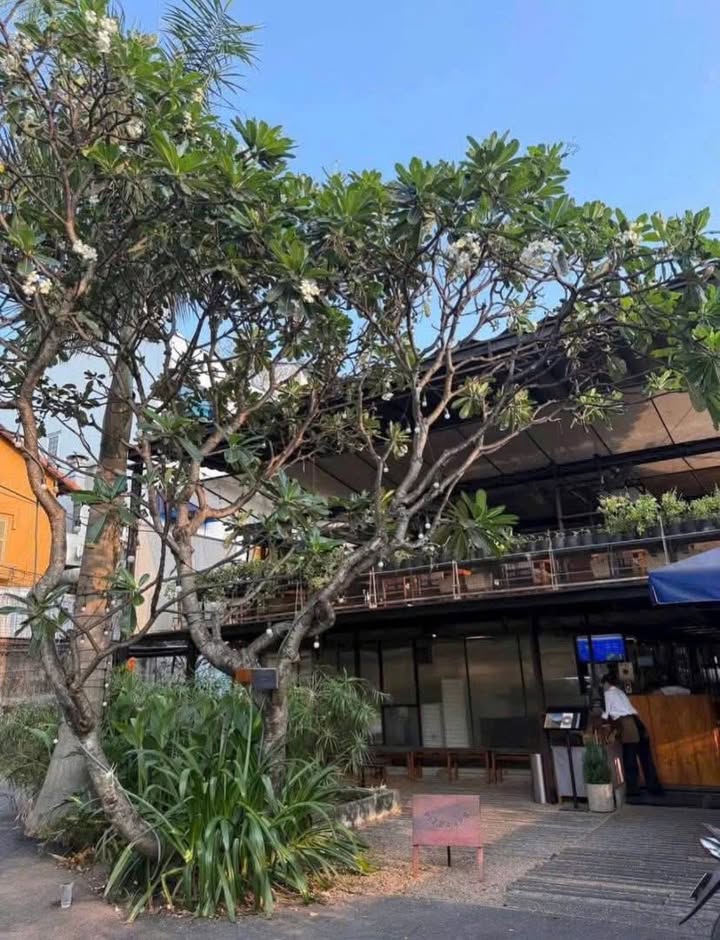 Nhà Hàng Xuân Thủy Thảo Điền 490m² 150 tỷ - Đầu tư sinh lời ngay!