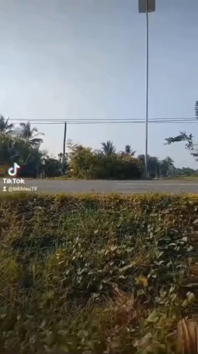 Đất nền Phong Thạnh Cầu Kè 2775m² giá 5.45 tỷ - Sổ đỏ chính chủ!