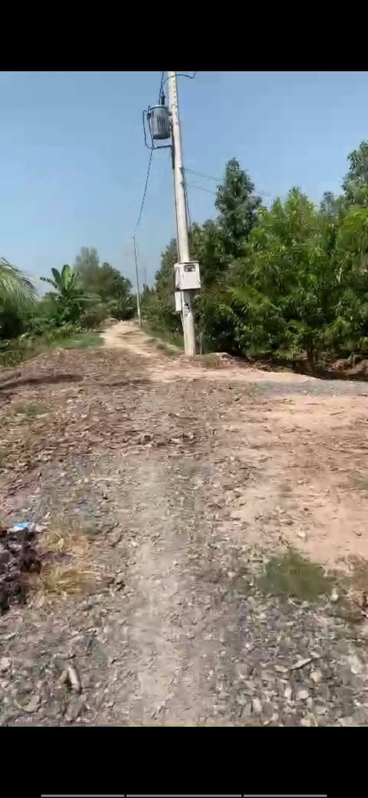 Đất nền 16000m² QL54 Bình Tân, Vĩnh Long - Tiềm năng tăng giá!