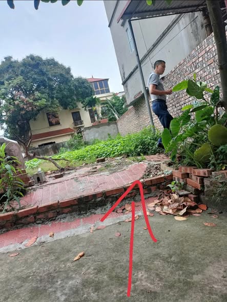 Đất nền Đại Bản, Hải Phòng 100m² - Ô tô vào tận đất, tiềm năng sinh lời!