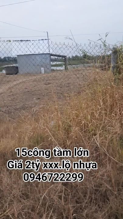 Bán Đất Vườn 15.000m² Mặt Tiền 54m Đường Chuỗi Vàng, An Minh, Kiên Giang - Giá Đầu Tư 2 Tỷ