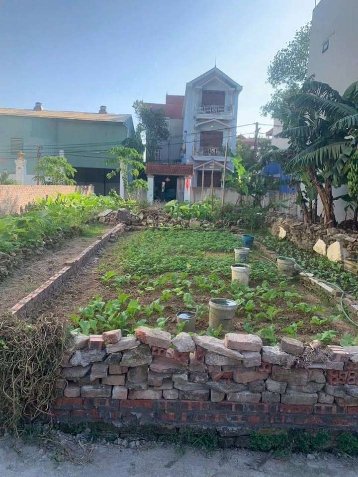 Đất nền Đông Anh 40m² - Sổ đỏ chính chủ, tiềm năng tăng giá!