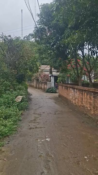 Đất Vườn Tuyên Quang 396m² - Sẵn Sổ Thổ Cư, Thế Đất Đẹp