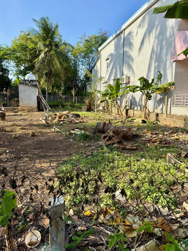 Đất Nền Hoài Thanh 120m² - Sổ Đỏ Riêng, Gần Biển, Giá Chỉ 3xx Triệu