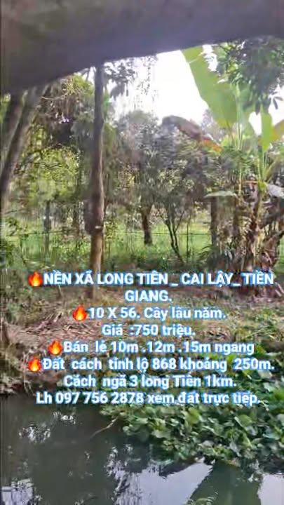 Bán Đất Nền Mặt Tiền 560m² - Vị Trí Đắc Địa Cai Lậy, Tiền Giang