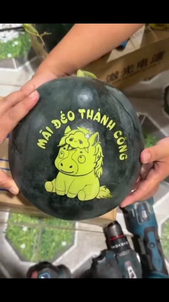 Đất nền Châu Thành Tây Ninh 200m² - Đất thổ cư 100%, giá tốt!