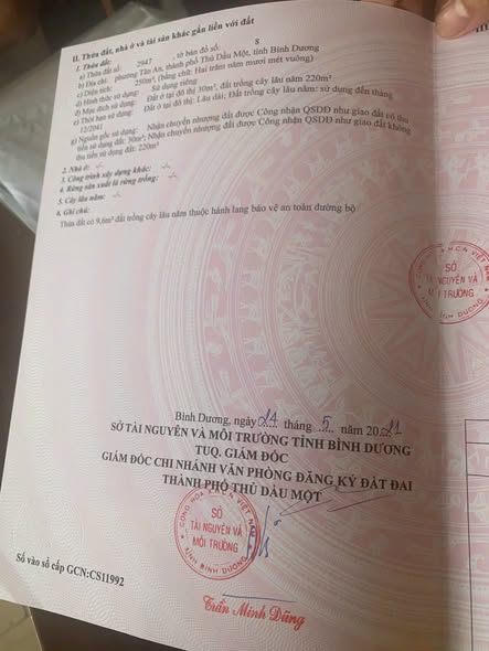 Đất nền Thủ Dầu Một 250m² - Tiềm năng tăng giá vượt trội!