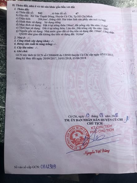 Đất nền Tân Thạnh Đông Củ Chi 207m² giá 3 tỷ - Đất thổ cư 100%